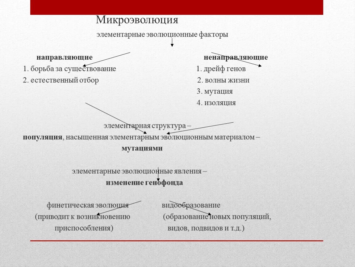 Микроэволюция факторы эволюции. Элементарные факторы микроэволюции. Схема микроэволюции. Микроэволюция. Факторы микроэволюции. Факторы и результаты эволюции