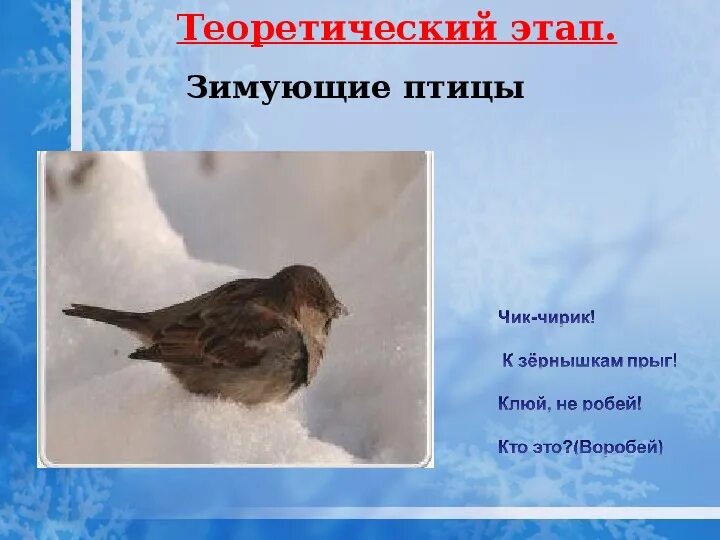 Проект птицы города. Тема недели зимующие птицы. Птицы нашего края подготовительная группа. Зимующие птицы в городе. Зимующие птицы башкортостана.