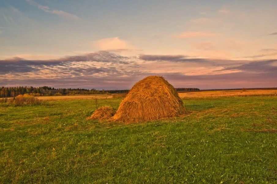 Косил сено стог сена. Скирда сноп. Калязин. Скирда. Стог.. Сенокос Скирда. Стог сена Скирда.