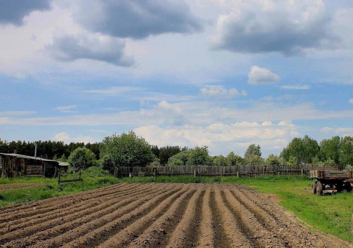 пашенок. река пашинка новосибирск карта. озеро пашенка новосибирск. пашенка. пашенка.