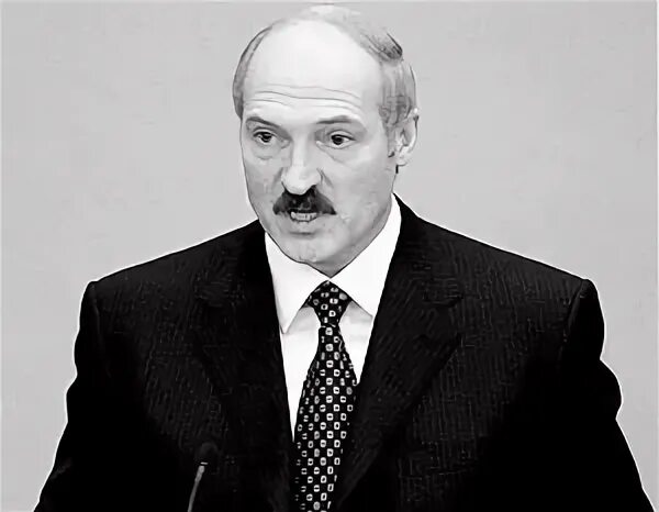 Политика и точка