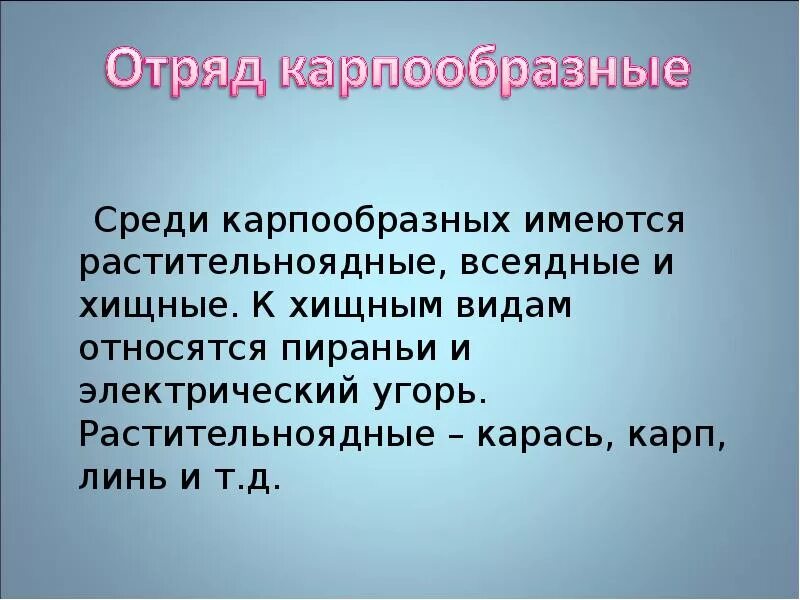 Почему численность промысловых растительноядных рыб. Отряд Карпообразные общая характеристика. Карпообразные презентация. Отряд Карпообразные презентация. Характеристика отряда Карпообразные.