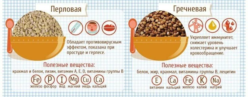 Калорийность гречки и перловки. Путеводитель по кашам. Количество белков в гречневой каше. Гречка калории.