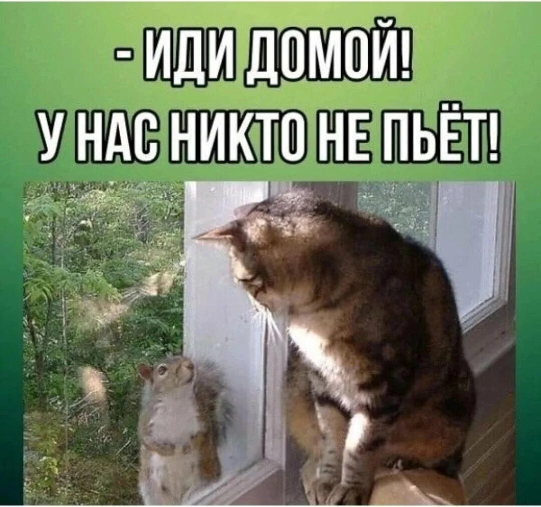 Иди домой фото. Иди домой фото