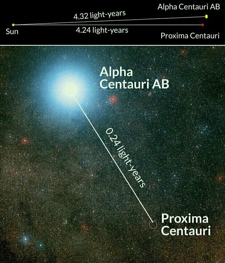 Тройная Звездная система Альфа Центавра. Проксима Центавра диаметр звезды. Проксима Центавра звезда размер. Проксима Центавра от земли. Альфа центавра ближайшие звезды к солнцу