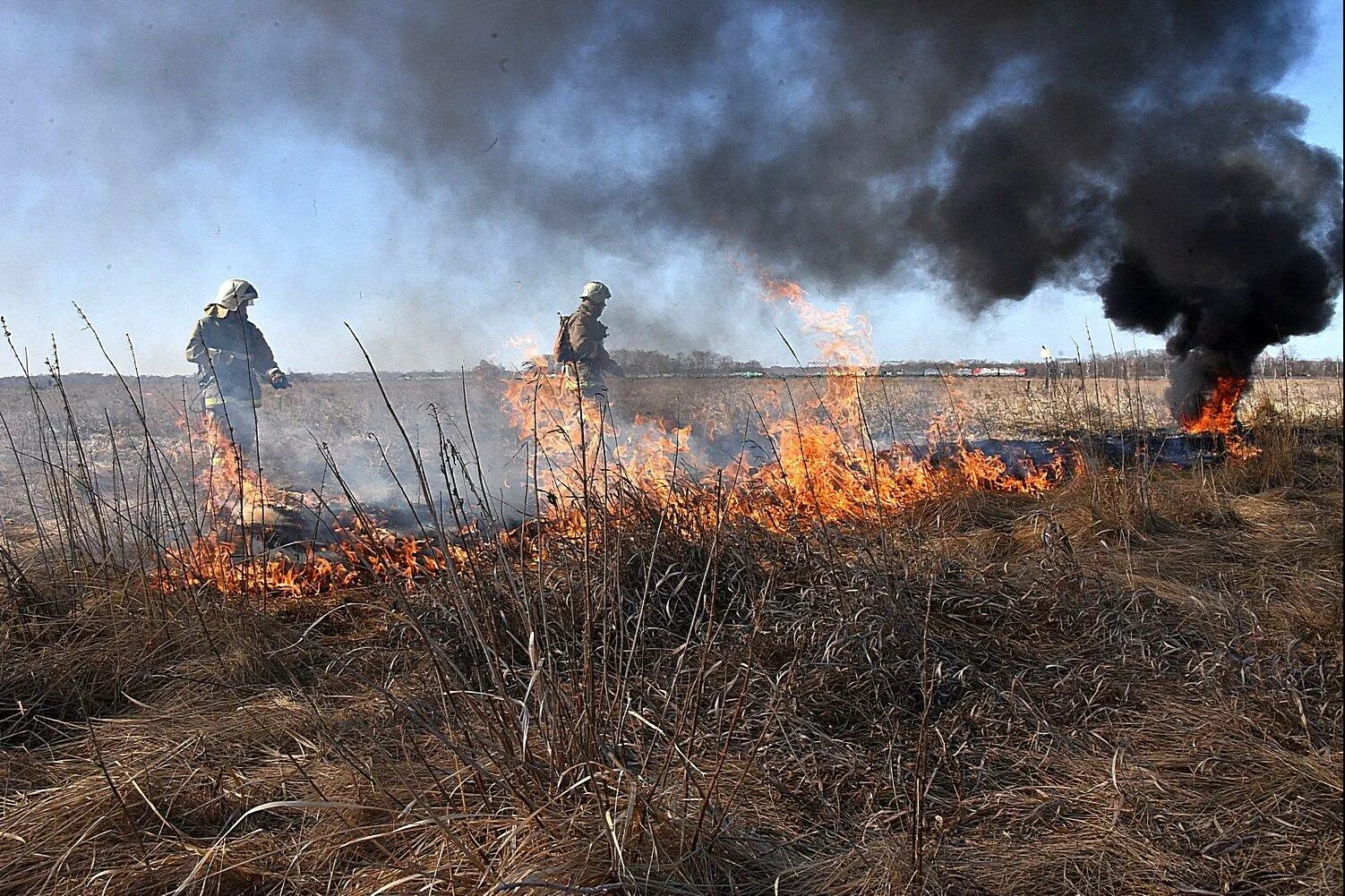 Пожар в лесу. Природные пожары. Пожары в Свердловской области 2021. Массовый пожар.