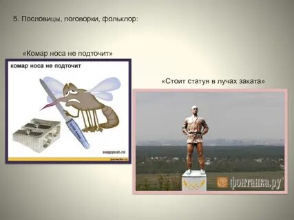 Фразеологизм комар