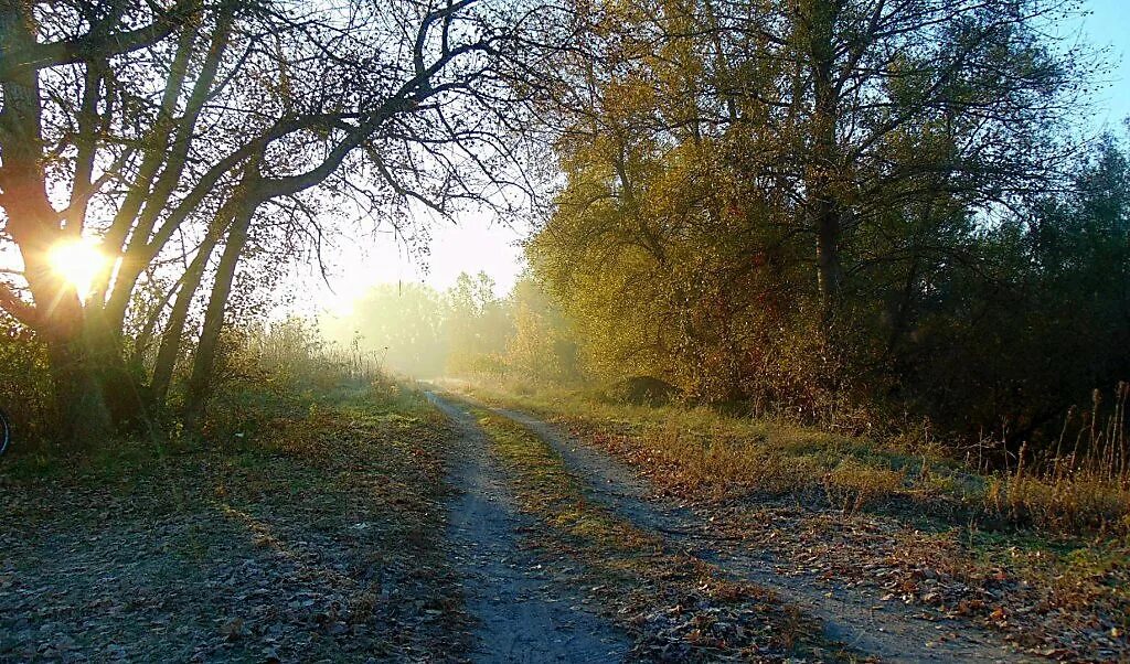 Освещенной утренним солнцем