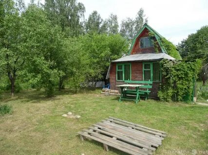 На даче 40