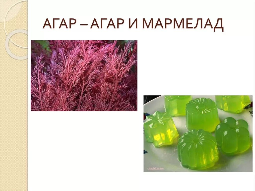 Агар-агар упаковка. Какими свойствами обладает вещество агар агар. Агар в пищевой промышленности. Агар-агар. Агар порошок.