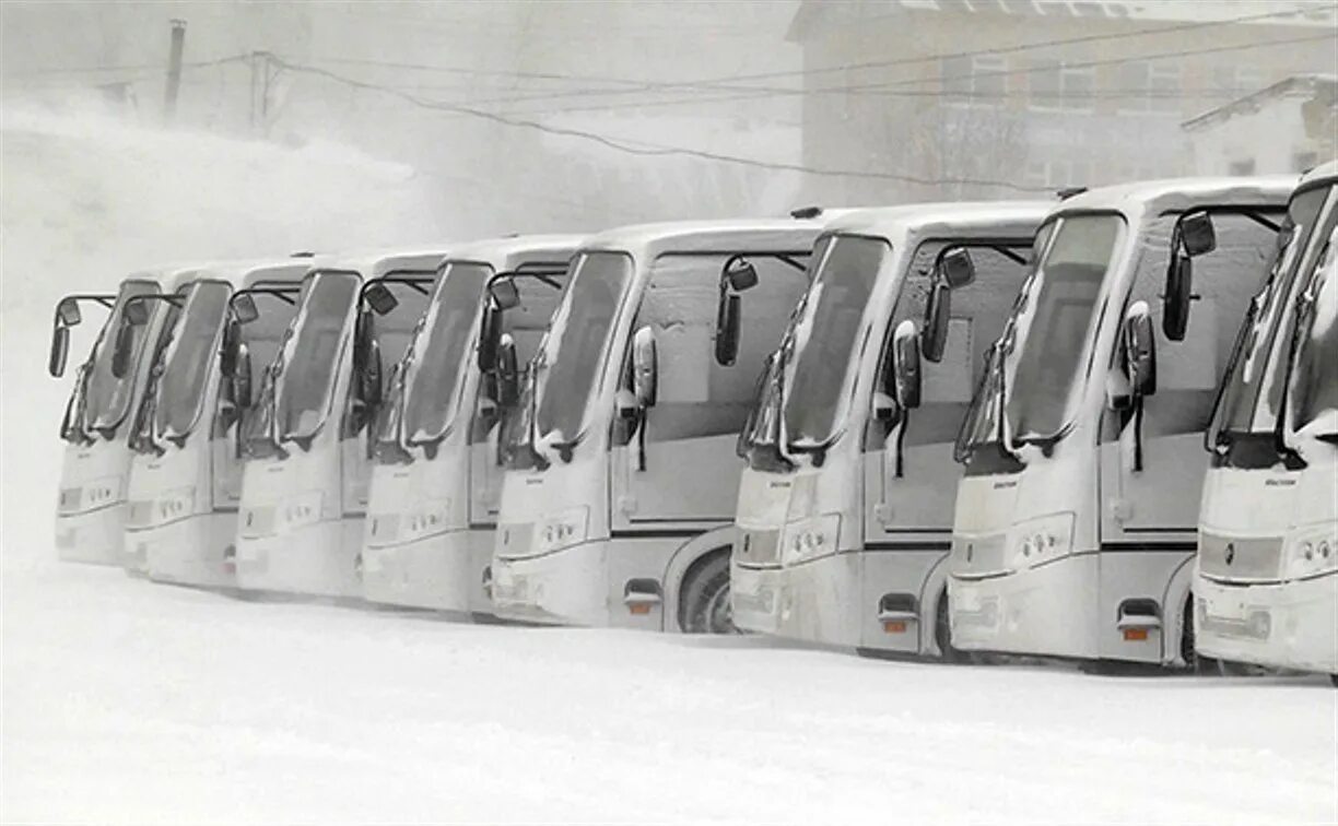 Гоу ту бас петропавловск. Автобусы Южно-Сахалинска. Автобусная компания Южно-Сахалинск. Автобус Сахалин.