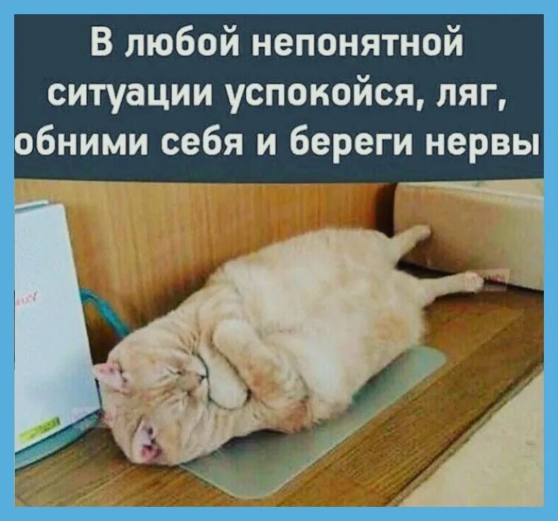 Прикольные высказывания про нервы. Хорошо ложатся на нужное. Открытки хорошо выспаться. Как правильно ложиться спать. Во сколько надо лечь спать чтобы встать.