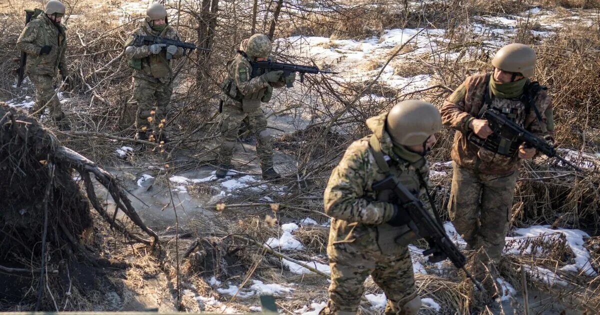 Дрг в брянской области сегодня