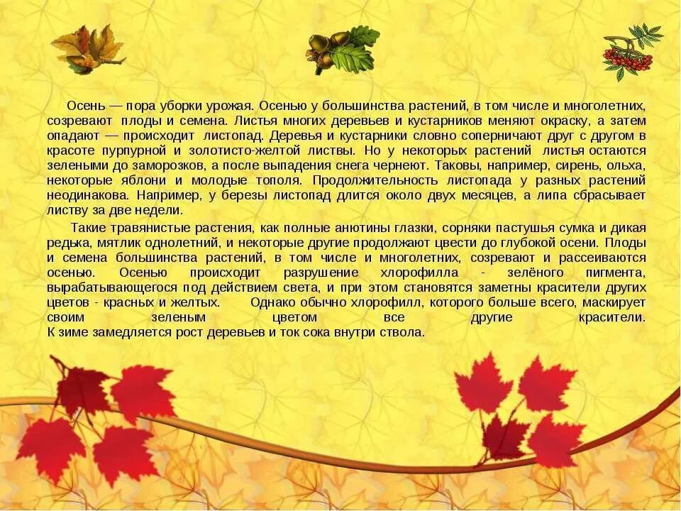 Сочинение про осень. Сочинение на тему осень. Сочинение на осеннюю тему. Мини сочинение про осень. Текст описания осени