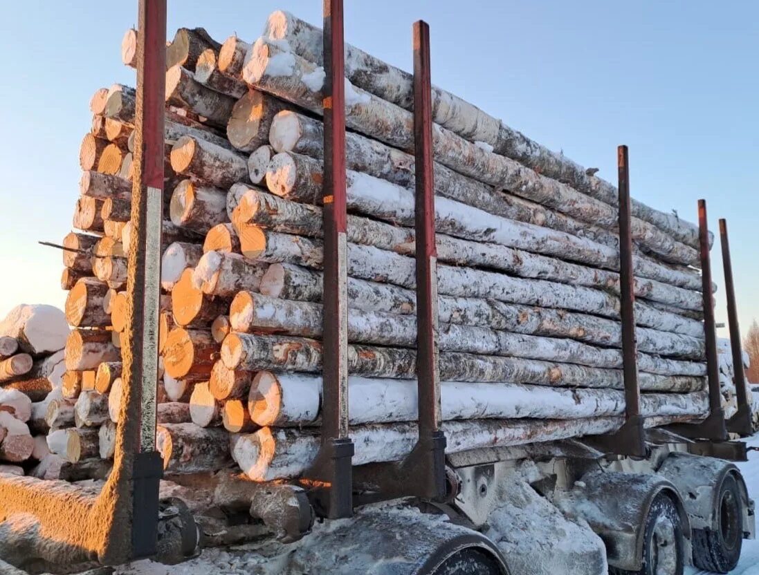 Кронлес Вологда. ООО Вологодский лес. Лузалес лесовоз. Российский лес Вологда 2023. Вологодский лес комбинат