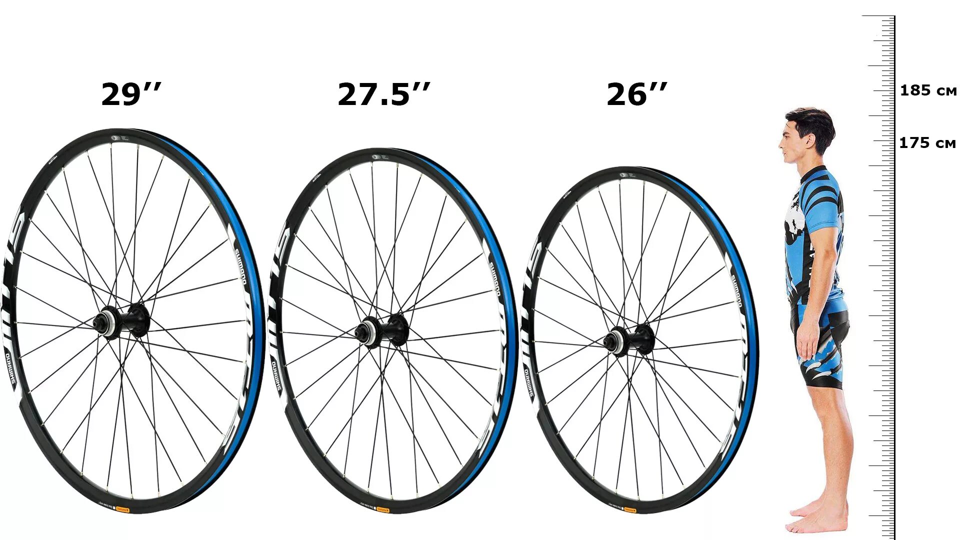 Какой дюйм колес для какого роста. Велосипед колеса 26 27.5 29. Радиус колеса 27.5 дюймов. Размеры велосипеда с 26 колесами. Велосипед 29 или 27.5 дюймов размер.