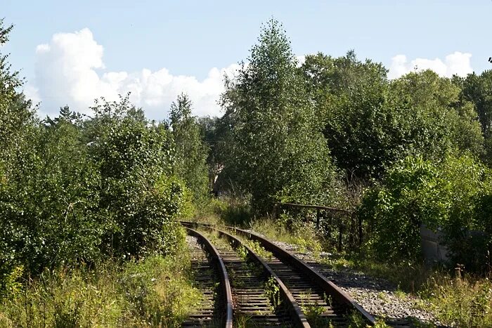 п ст лесная. станция лесная можд. п ст лесная. железнодорожная книга про ст. станция верхнекамская кировская область.