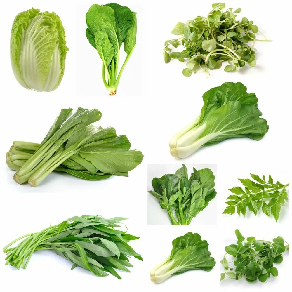Какие бывают зеленые овощи. Овощи и зелень. Зеленые овощи. Листовые овощи. Зелень разная.