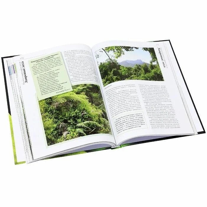 Большая школьная энциклопедия олма пресс. Энциклопедия олма. Большая школьная энциклопедия олма пресс. Мудрость тысячелетий балязин 2010 год. История: энциклопедия.