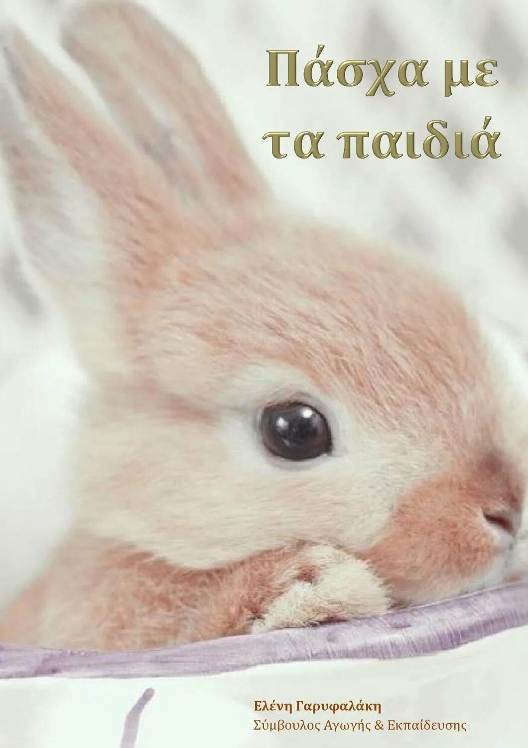 Очень милый зайка. Милый зайчик. очень милый кролик. кролики милашки. очень милые зайчики.