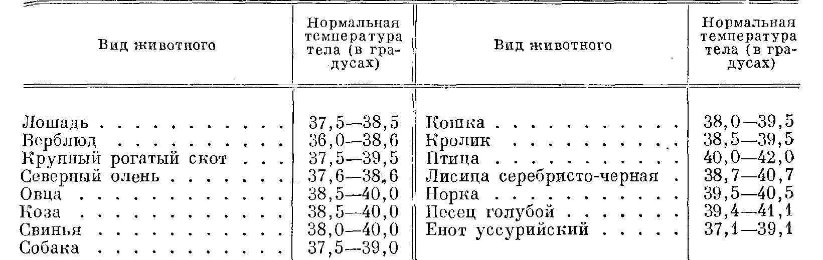 Температура тела кур. Температура лошади в норме. Температура тела лошади норма. Температура животных в норме. Физиологические показатели температуры у лошадей.