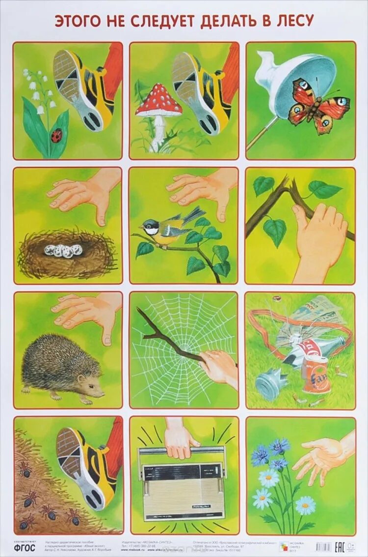 Что запрещено делать в лесу. Что запрещено делать в лесу. Экология для дошкольников. Что запрещено делать в лесу. Экология для детей дошкольного возраста.