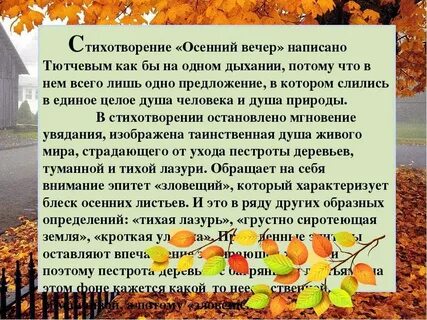 Листья осенние анализ