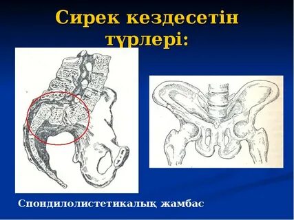 «Салтан патша туралы ертегі» порно