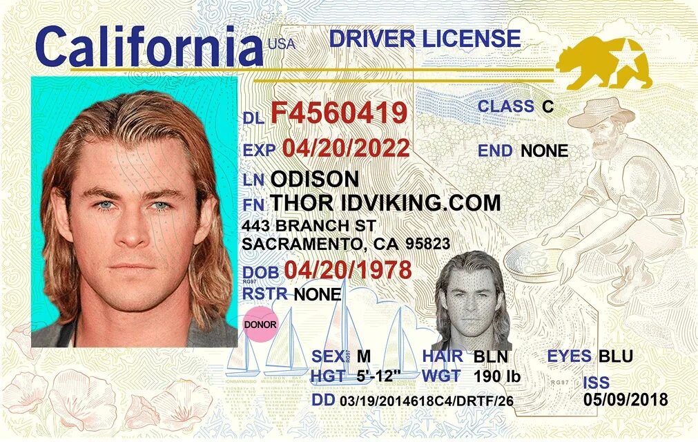 License ended. California Driver License. California Driver License New. Driver License USA California.