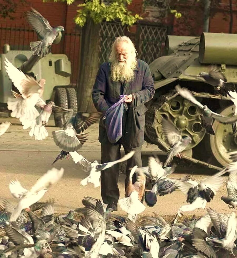 Старик и голуби. Старушка и голуби. Голуби монахи. Дедушка с голубями. Добрые люди вся россия