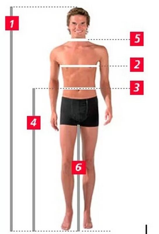 Где талия. Обхват бедер у женщин. Где находится талий. Измерение талии у мужчин. Как измерить объем груди талии бедер.