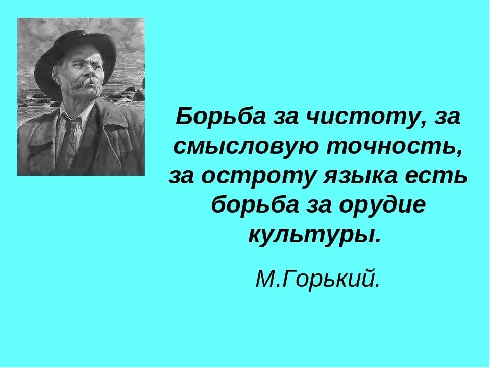 Борьба за чистоту русского языка. Бороться за чистоту русского языка. Борьба за чистоту за смысловую точность. Цитаты о чистоте речи.