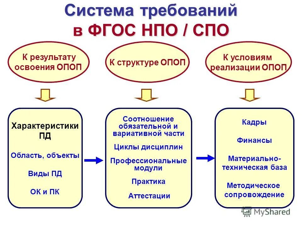 Основной профессиональной образовательной программы спо