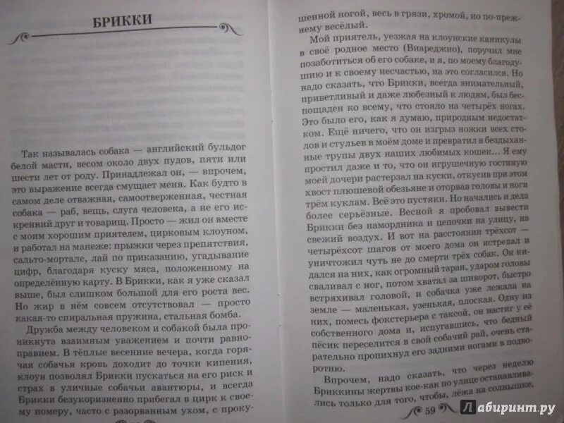 Куприн рассказы читать полностью. Куприн завирайка. рассказ куприна завирайка. текст куприн завирайка. завирайка рассказ рассказ.