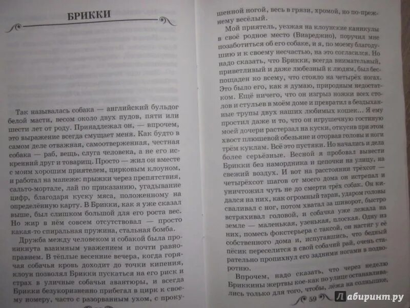 Куприн распечатать текст полностью. Куприн Завирайка. Рассказ Куприна Завирайка. Текст Куприн Завирайка. Завирайка рассказ рассказ.