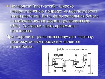 Целлюлоза выполняет функцию
