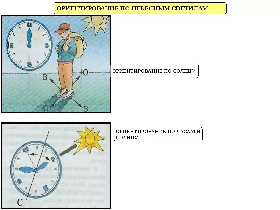 Ориентирование по солнцу 2 класс. Ориентирование по солнцу. Ориентирование на местности по солнцу. Ориентирование по светилам. Способы ориентирования по солнцу и часам.