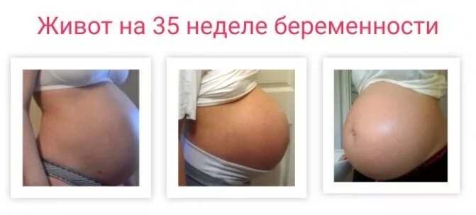 Беременный живот в 35 недель. 35 Неделя беременности месяц. 35 недель тяжело
