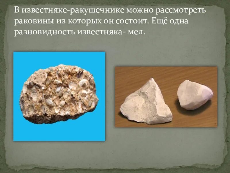 Для чего используют известняк. Разновидности известняка. Изображение известняка. Известняк камень. Известняк состоит из раковин.