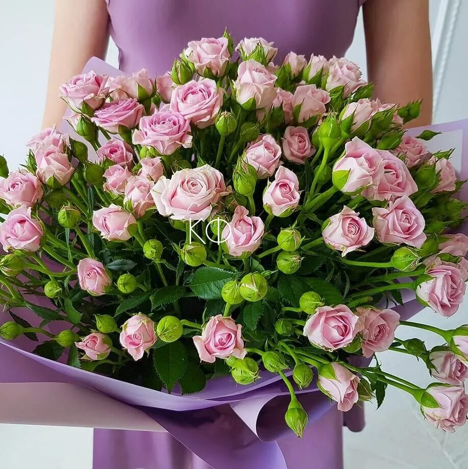 Кустовые розы уфа. Розы мелкие кустовые. Кустовые розы уфа. Букет кустовых роз саммер дэнс. Букет кустовых роз рефлекс.