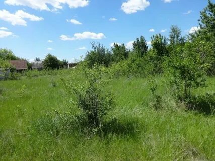 Снт заря воронежская область