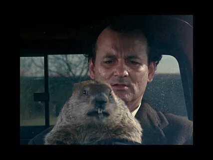 Groundhog day watch