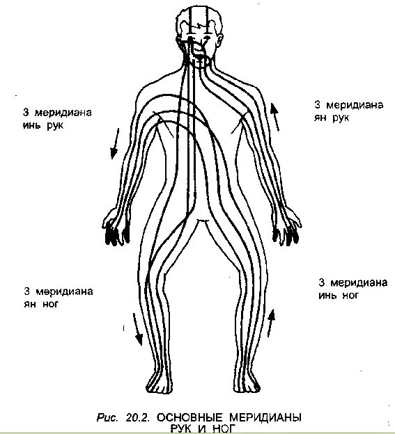 Схемы меридианов тела. Меридианы китайская медицина человека схема. Энергетические меридианы человека схема. 12 меридианов человека по китайской медицине. Энергетические меридианы человека схема.