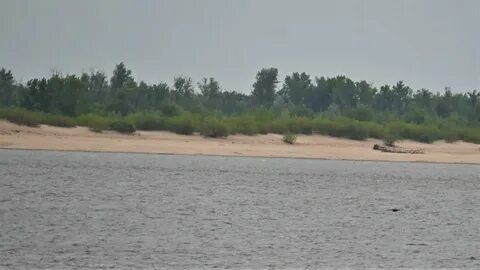Берег открытое слово