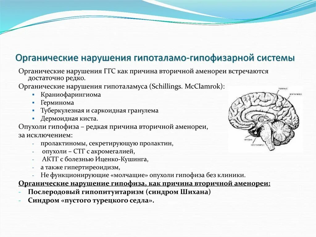 Синдром гипофиза. Нарушение функций гипоталамо-гипофизарной системы. Классификация заболеваний гипоталамо-гипофизарной системы. Поражение гипоталамо-гипофизарной системы симптомы. Патология гипофиза этиология.