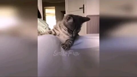 Порнодағы ұйықтап жатқан жетілген әйелдер