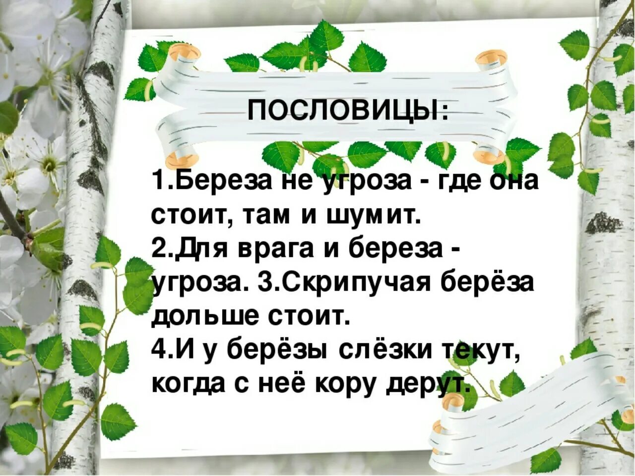 Пословицы о Березе. Поговорки о Березе. Пословицы и поговорки о Березе. Стихи и пословицы о берёзе. Березка перевод