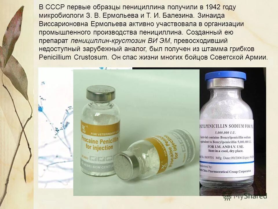 производство пенициллина. антибиотики из плесневых грибов. первый пенициллин крустозин. пенициллин стрептомицин. производство пенициллина.