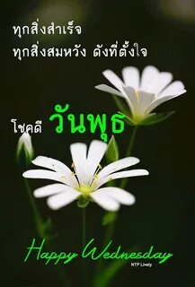 Ах цветочек