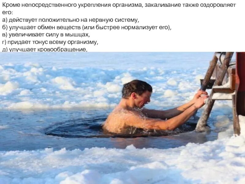 Сломанное зубило. Закалять корень. Цвета каления. Корневища лапчатки прямостоячей. Закалять корень.